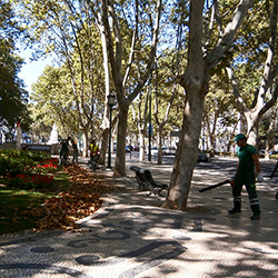P9200099.jpg