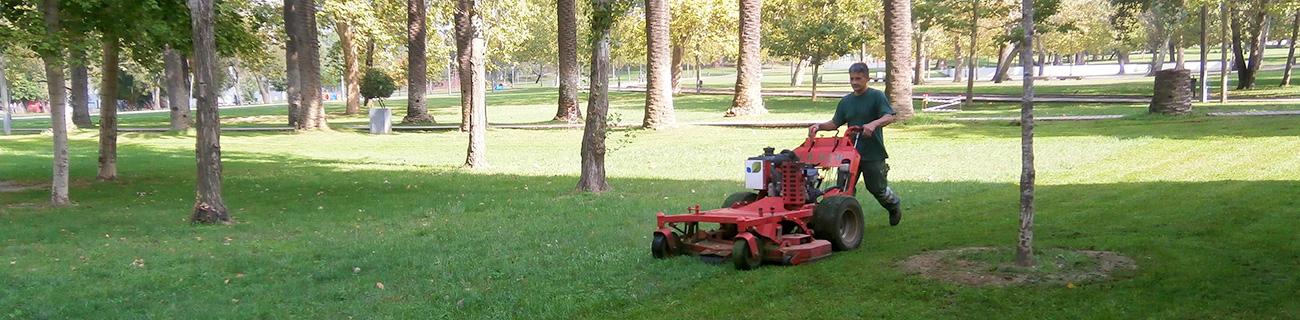 Manutenção de Áreas Verdes