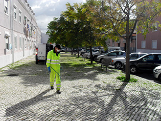 Controlo de Vegetação em Meio Urbano