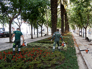 Manutenção de Espaços Verdes